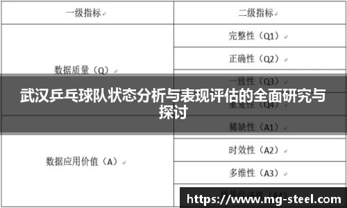 武汉乒乓球队状态分析与表现评估的全面研究与探讨
